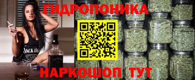 mdpv Кингисепп