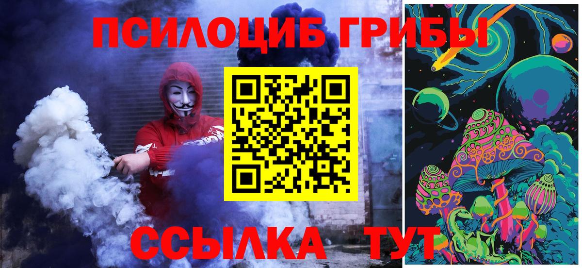 Псилоцибиновые грибы мицелий Красный Сулин