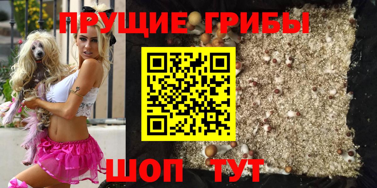 Псилоцибиновые грибы Psilocybine cubensis  Вход с VPN  Красный Сулин 